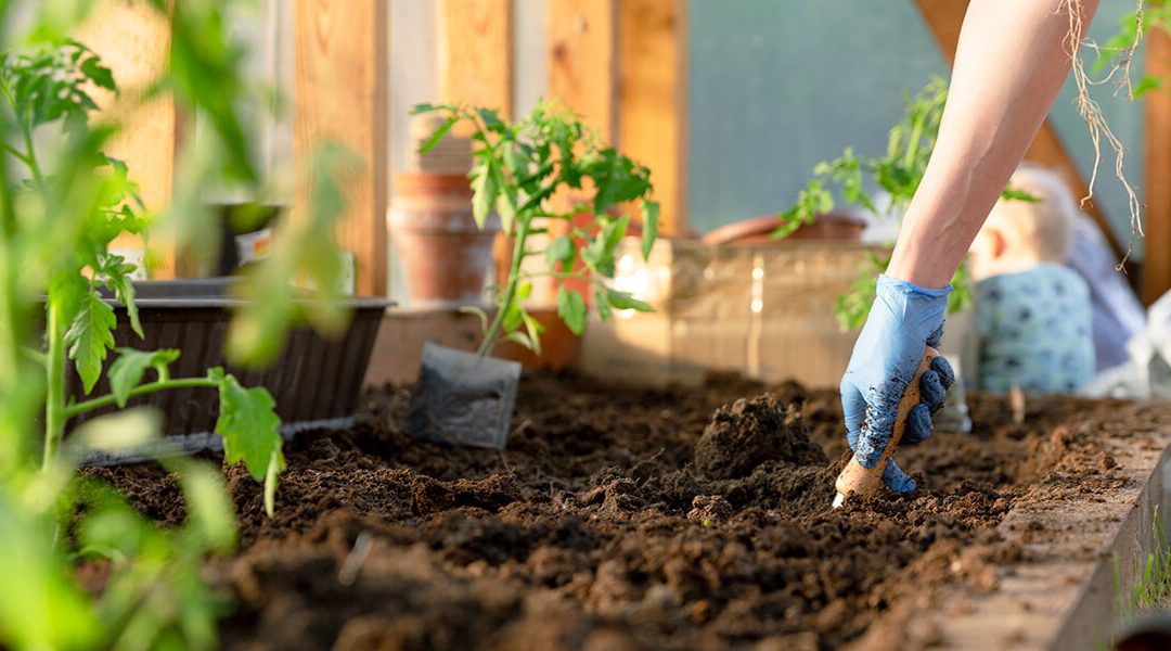 Mantenimiento de Jardines